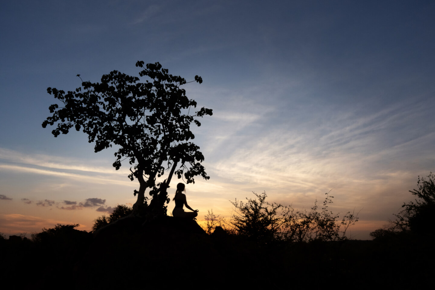 A yogi sits under the tree in south africa